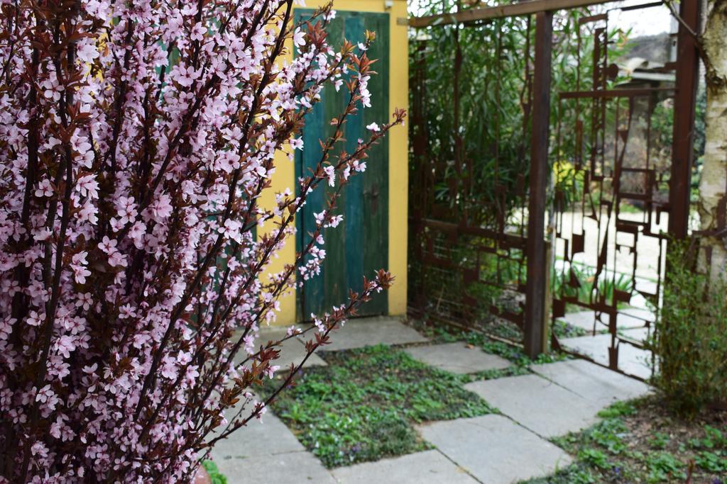 Agriturismo Casa De Colores Moretta Eksteriør billede